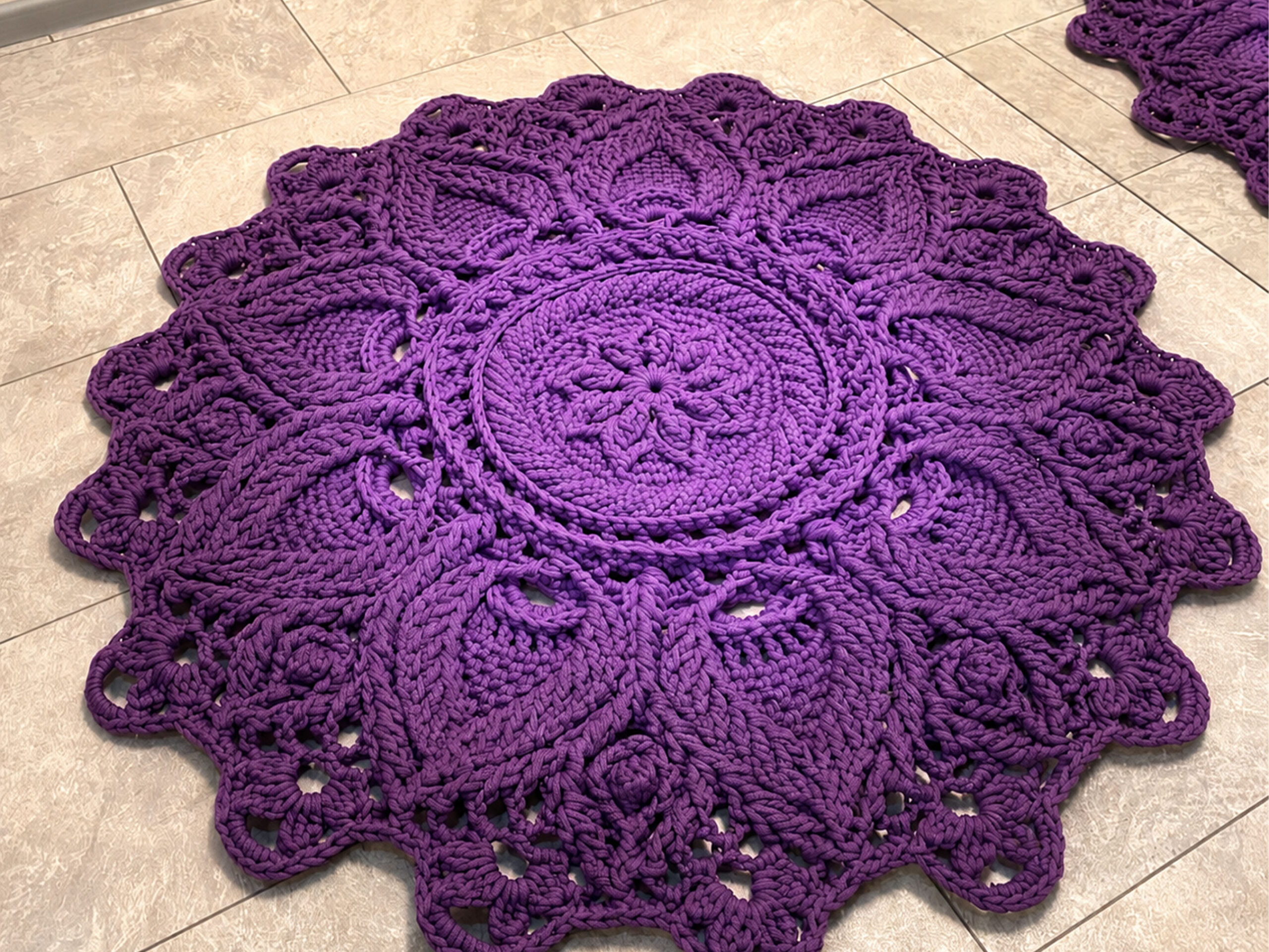 violetine ombre 0003 3